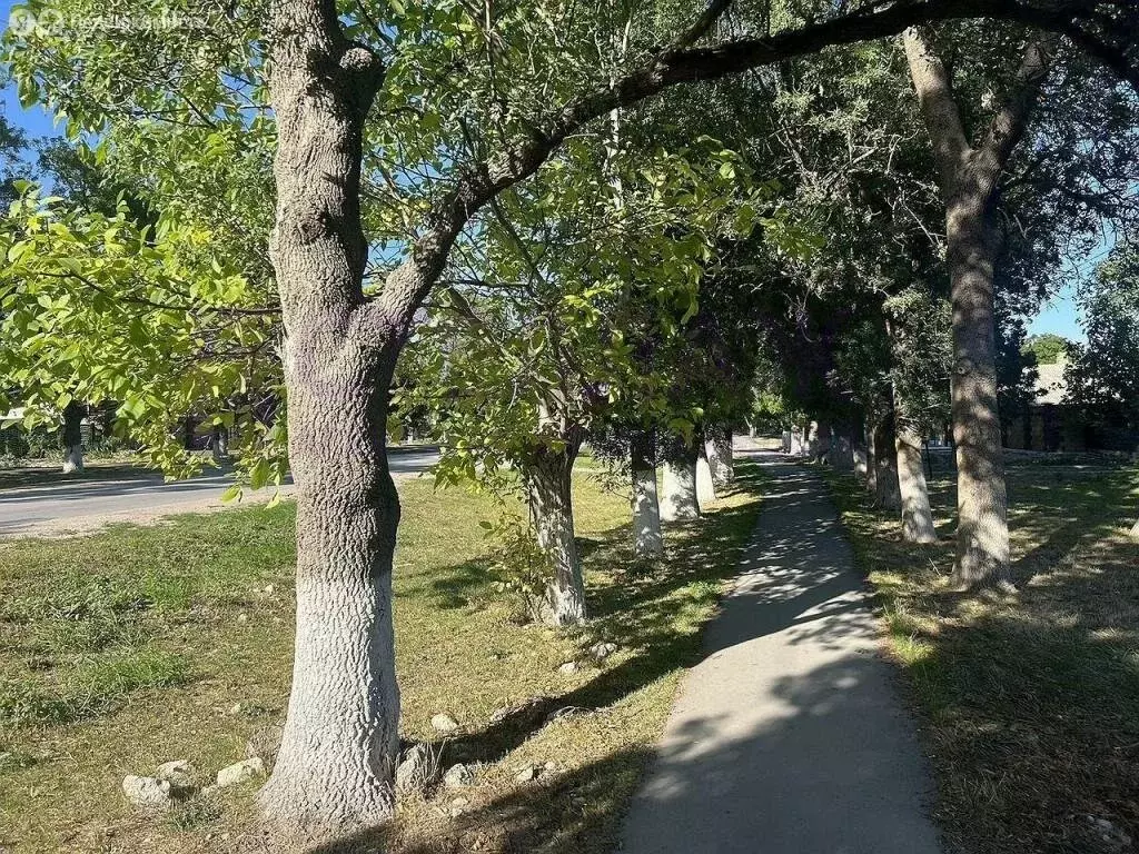 Участок в Золотое Поле, улица Мичурина, 19 (11 м) - Фото 0