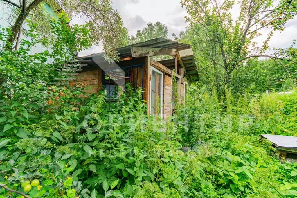 Участок в Свердловская область, Екатеринбург Шувакишский СНТ, 10 (4.5 ... - Фото 1