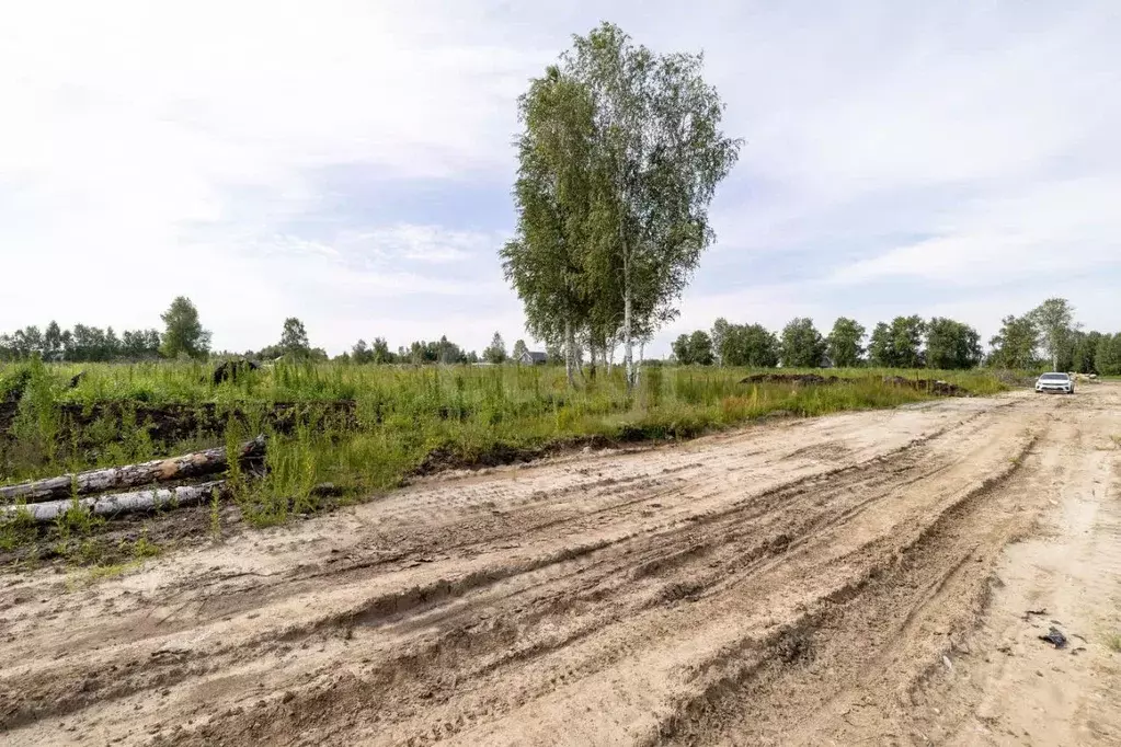 Участок в Тюменская область, Тюмень Лаванда садовое товарищество,  ... - Фото 1