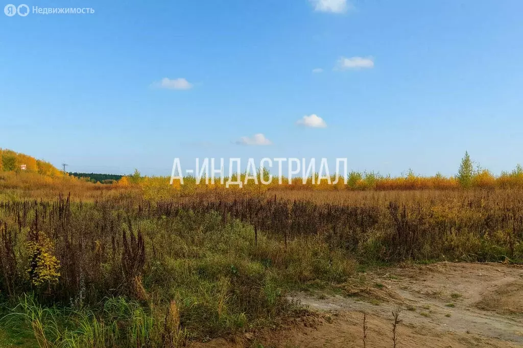 Участок в деревня Кучино, территория Колосок-Овчинки, 110 (6.5 м) - Фото 2