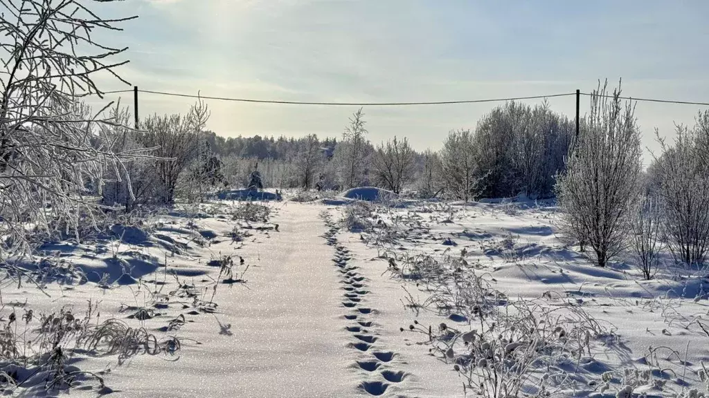 Участок в Нижегородская область, с. Безводное ул. Светлая (1583.0 ... - Фото 1