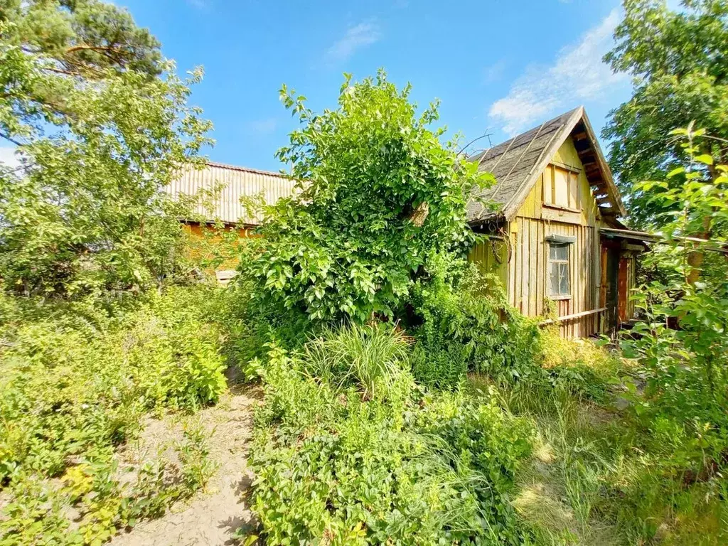 Дом в Курганская область, Курган Дружба КМИ СНТ, 2 (20 м) - Фото 0