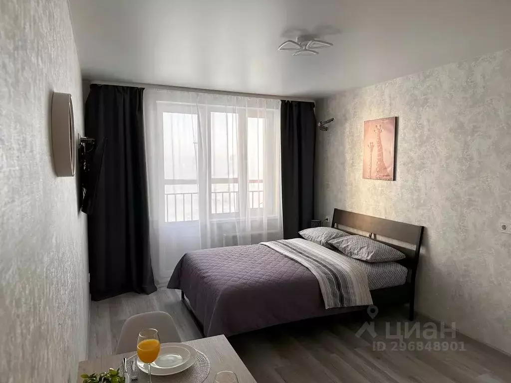 Студия Татарстан, Казань Тэцевская ул., 4Д (24.0 м) - Фото 2