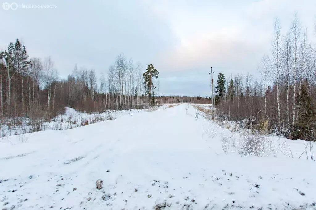 Участок в посёлок Туртас, улица Дорожников (10 м) - Фото 1