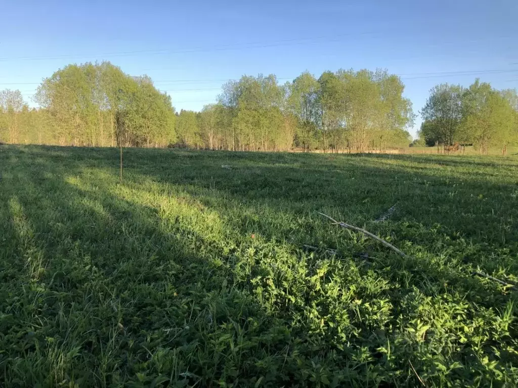 Участок в Ленинградская область, Ломоносовский район, Лопухинское ... - Фото 0