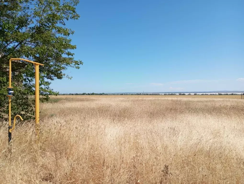 Участок в Крым, Ленинский район, Мысовское с/пос, с. Семеновка  (10.0 ... - Фото 2