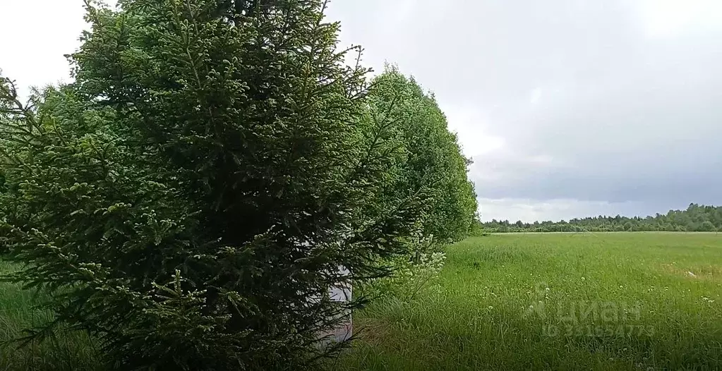 Участок в Московская область, Наро-Фоминский городской округ, д. ... - Фото 2