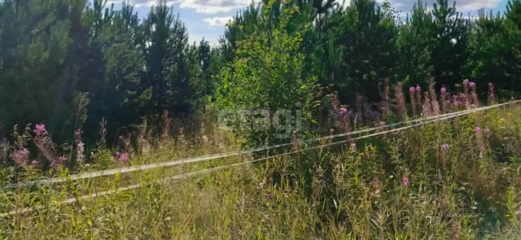 Участок в Свердловская область, Горноуральский городской округ, с. ... - Фото 1