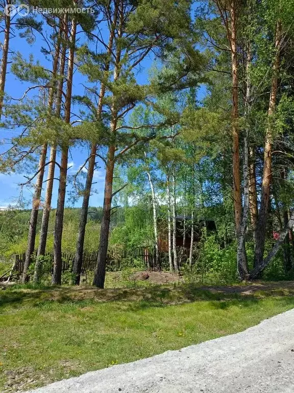 Участок в Миасс, СНТ Дачный (10 м) - Фото 1