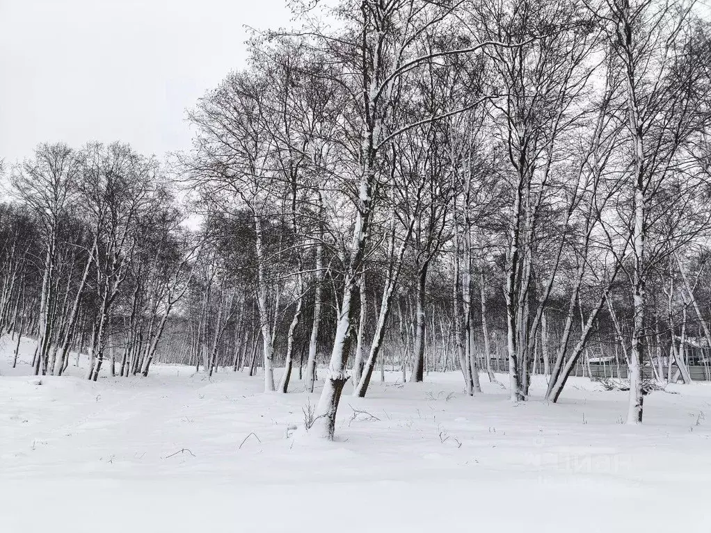 Участок в Московская область, Дмитровский муниципальный округ, д. ... - Фото 1