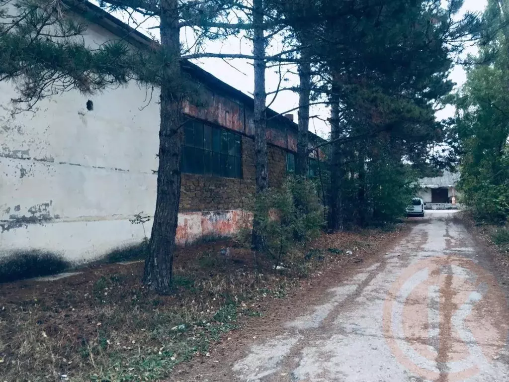 Помещение свободного назначения в Крым, Саки ш. Евпаторийское, 86 ... - Фото 0