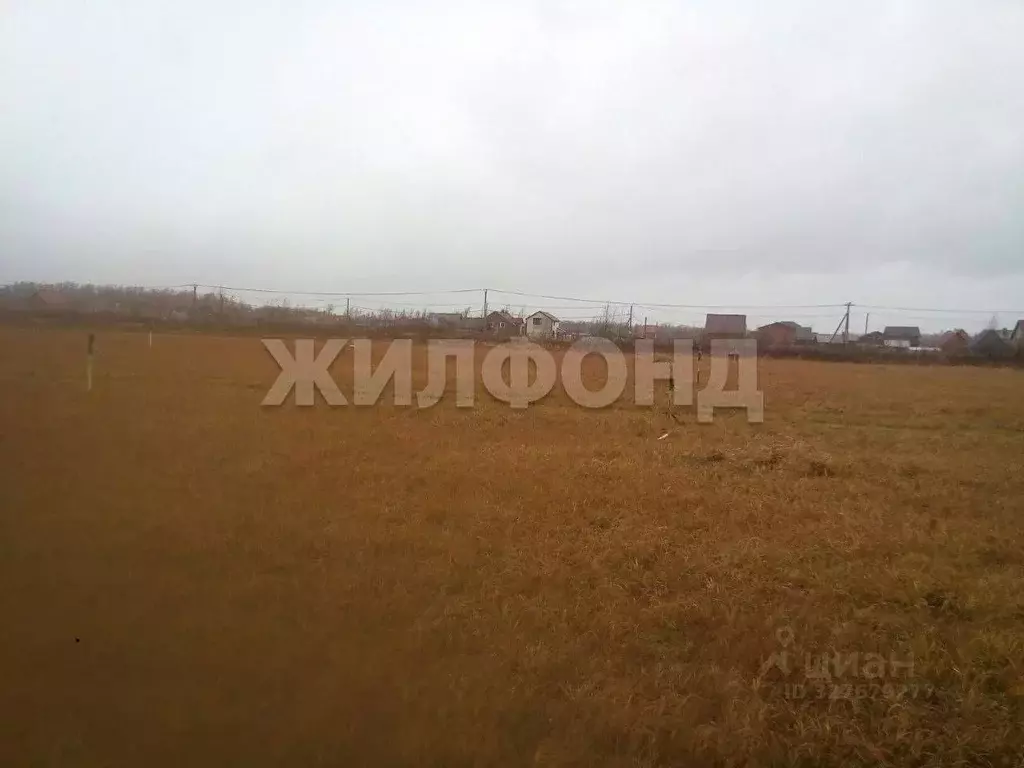 Участок в Новосибирская область, Новосибирский район, Кубовинский ... - Фото 1