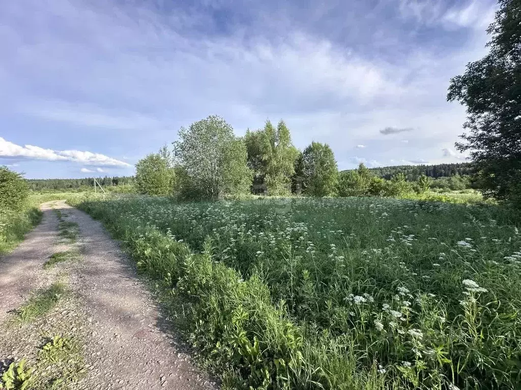 Участок в Московская область, Клин городской округ, д. Марфино 1 (16.5 ... - Фото 0