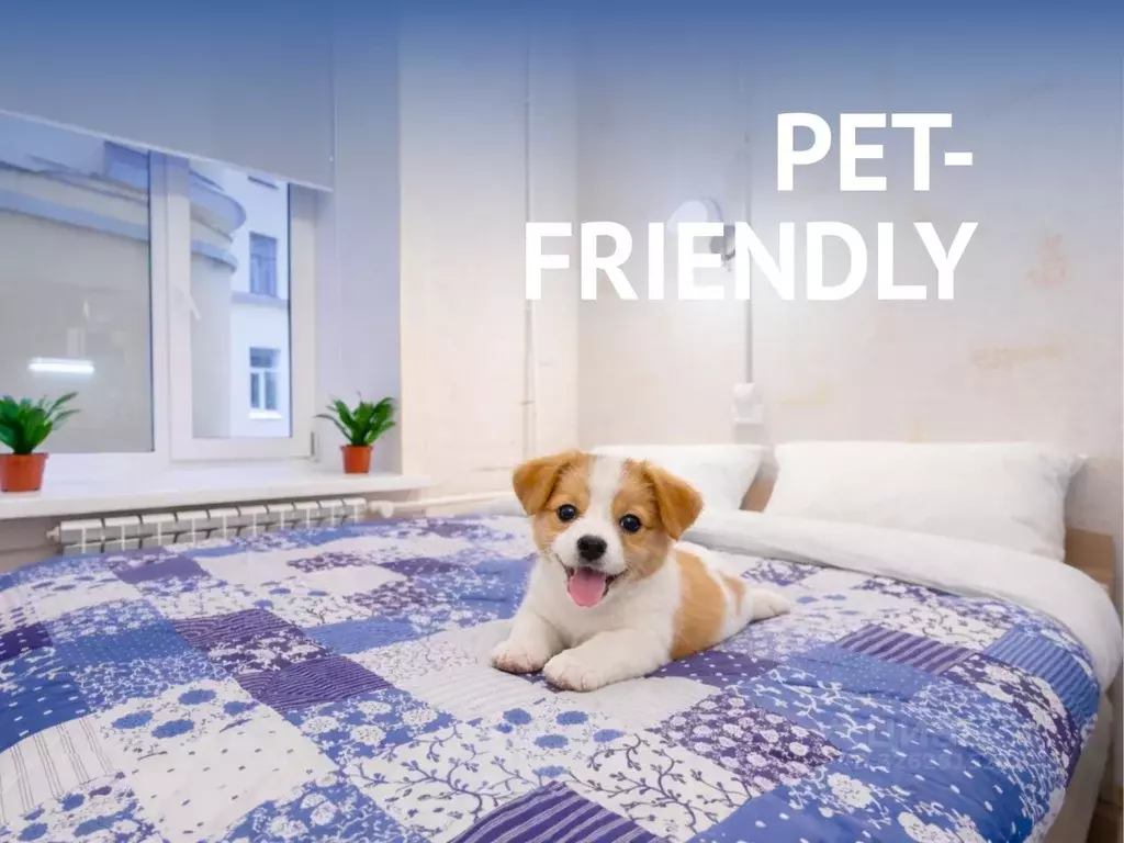 Студия Санкт-Петербург ул. Блохина, 4 (14.0 м) - Фото 2