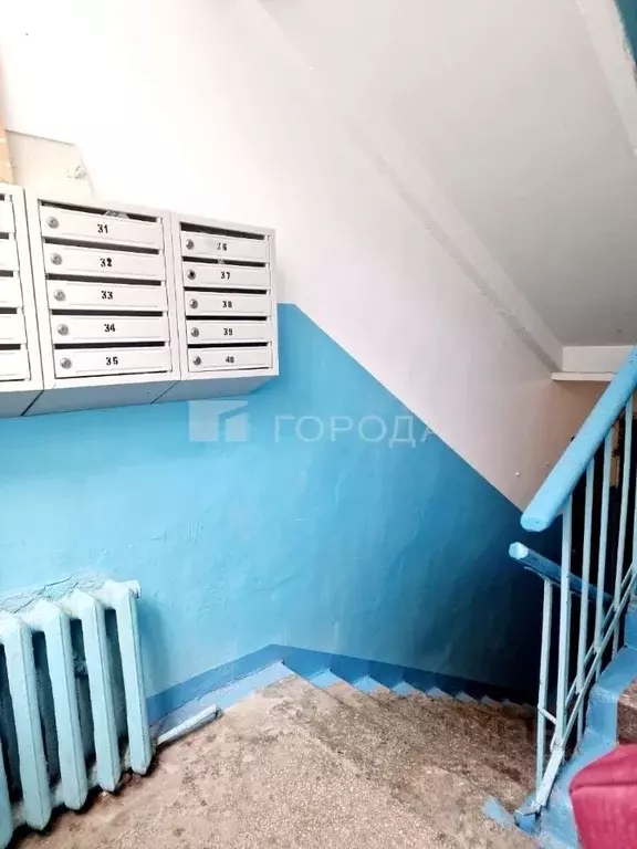 1-к кв. Новосибирская область, Новосибирск ул. Блюхера, 3 (35.0 м) - Фото 1