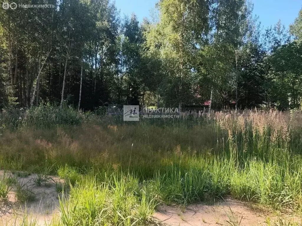 Участок в Богородский городской округ (14 м) - Фото 1