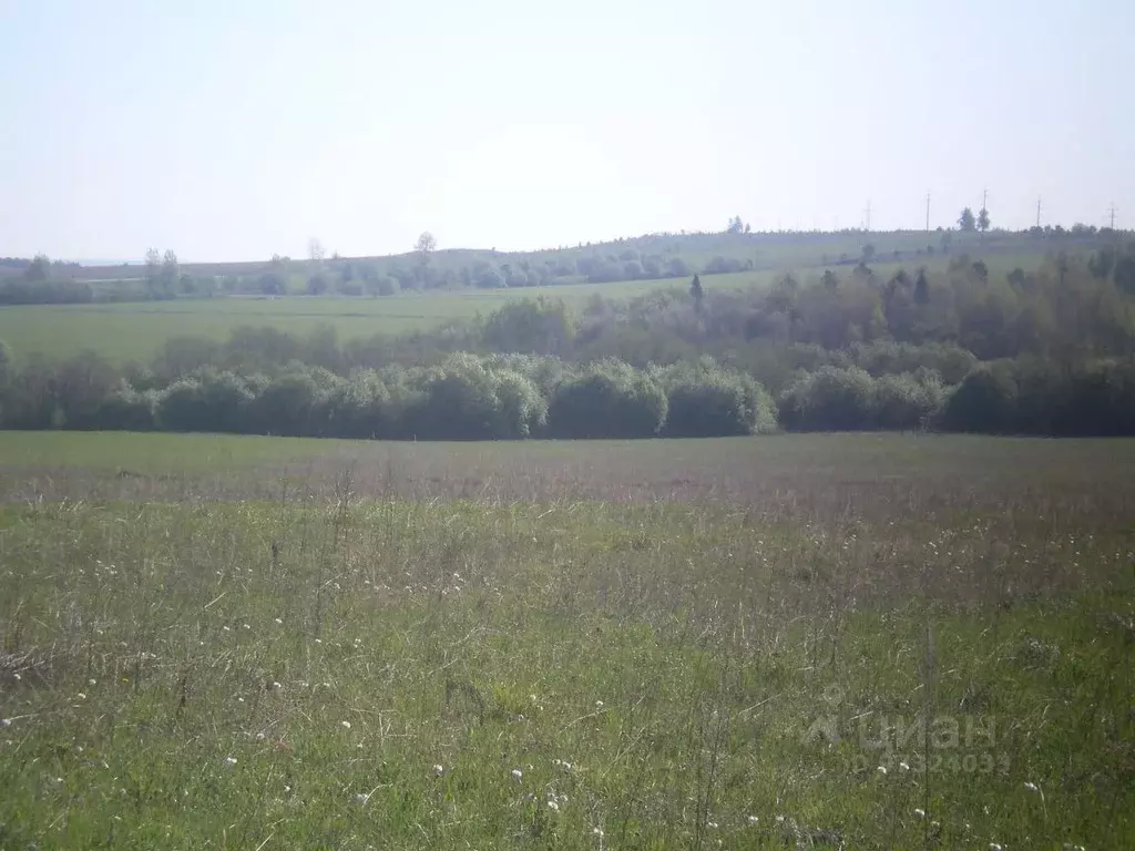 Участок в Свердловская область, Нижнесергинский район, Михайловское ... - Фото 1