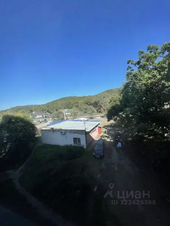 2-к кв. Приморский край, Надеждинский район, пос. Раздольное ул. Лазо, ... - Фото 2