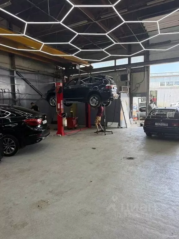 Помещение свободного назначения в Санкт-Петербург Кубинская ул., 48 ... - Фото 2