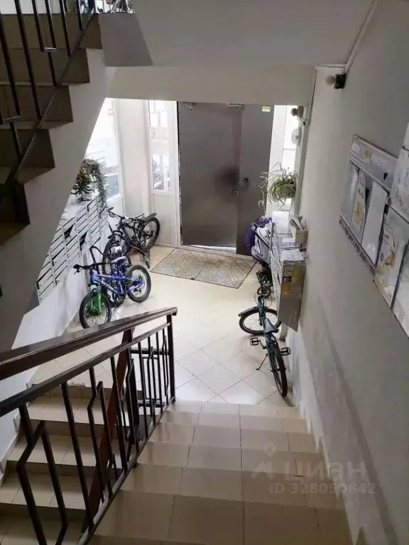 1-к кв. Краснодарский край, Сочи Транспортная ул., 76/8 (38.0 м) - Фото 2