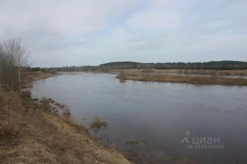 Участок в Тверская область, Старицкий муниципальный округ, д. Бутово  ... - Фото 2