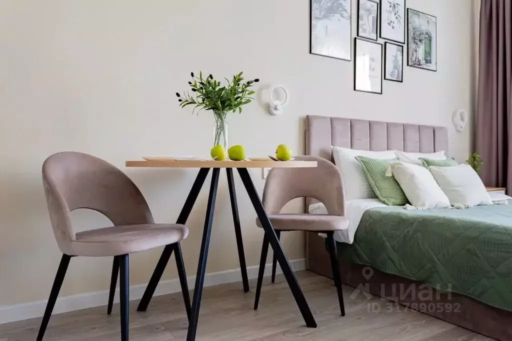 Студия Краснодарский край, Сочи ул. Искры, 88к3 (28.0 м) - Фото 1