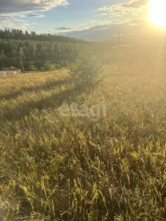 Участок в Забайкальский край, Читинский район, с. Засопка, Молодежный ... - Фото 1