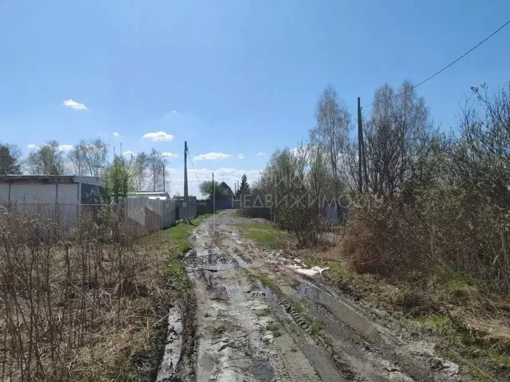 Участок в Тюменская область, Тюмень Автомобилист СНТ, ул. Рябиновая ... - Фото 1