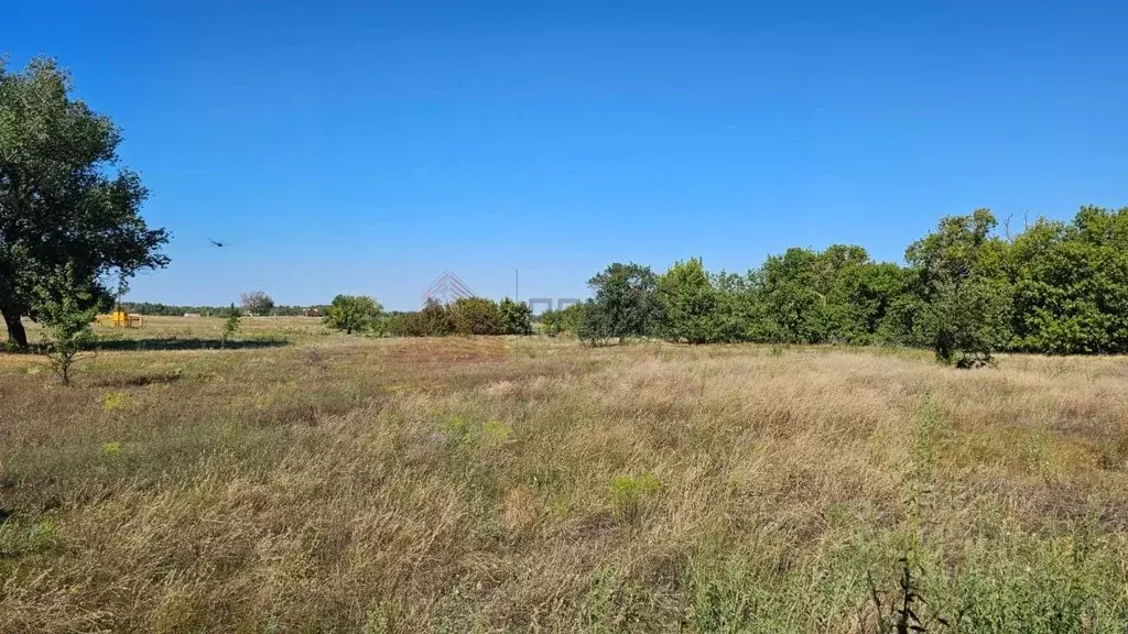 Участок в Волгоградская область, Городищенский район, Вертячинское ... - Фото 1