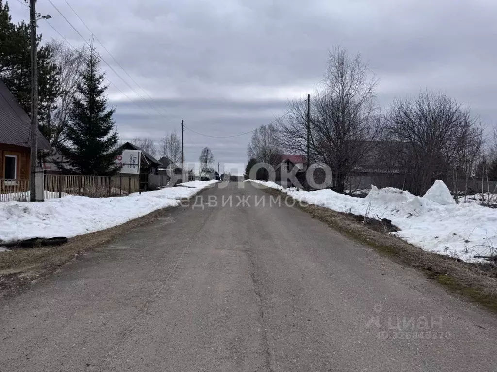 Участок в Пермский край, Березники муниципальный округ, д. Белая Пашня ... - Фото 2