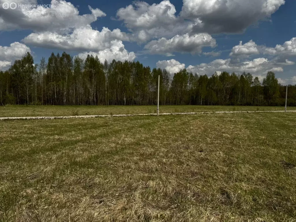 Участок в Московская область, Дмитровский муниципальный округ, дачный ... - Фото 0