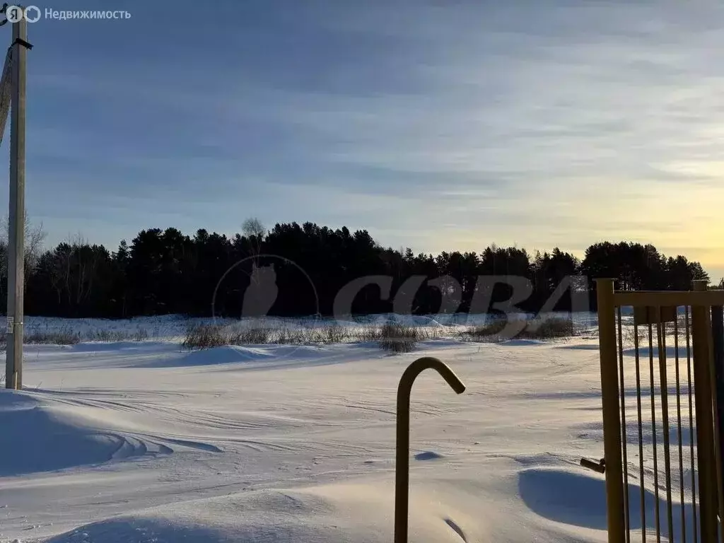 Участок в Тюменский муниципальный округ, деревня Криводанова (10.5 м) - Фото 2