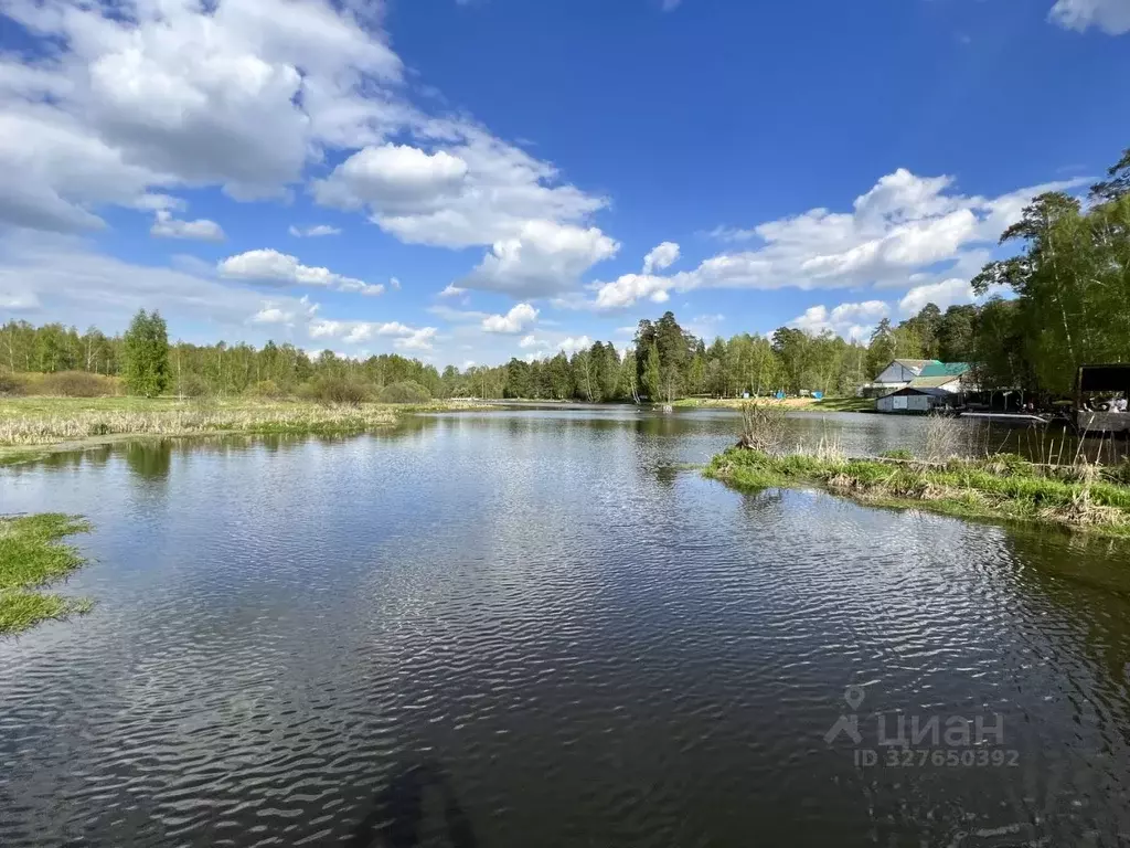 Участок в Московская область, Пушкинский городской округ, д. Костино, ... - Фото 2