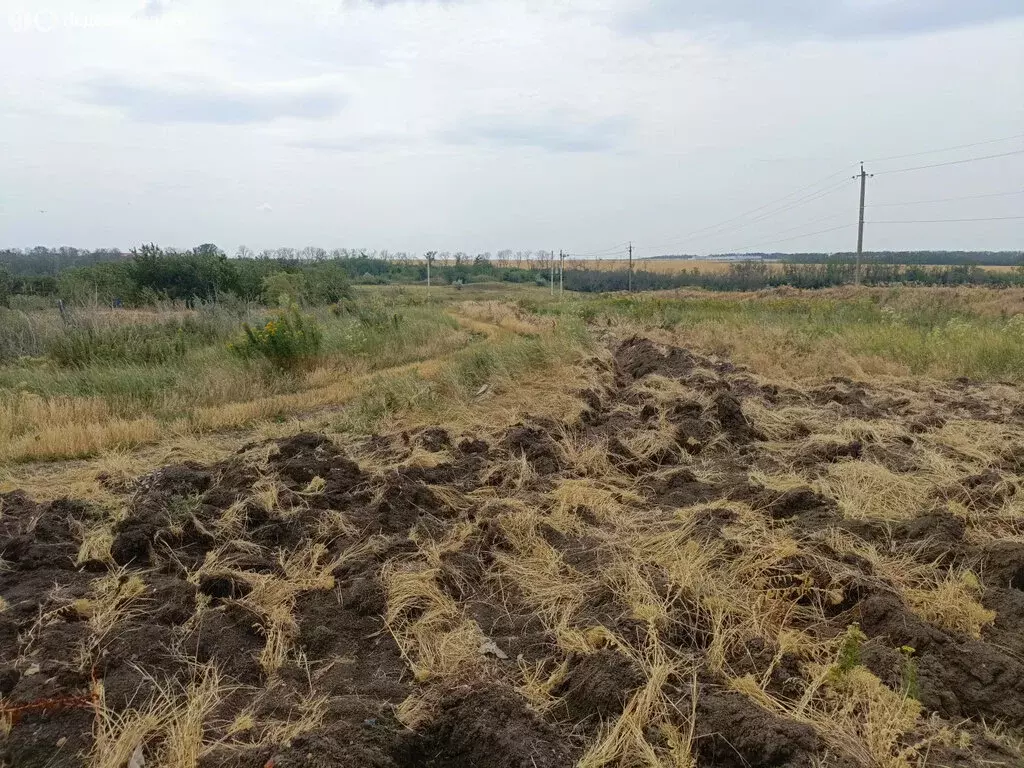 Участок в Мясниковский район, Краснокрымское сельское поселение, село ... - Фото 0