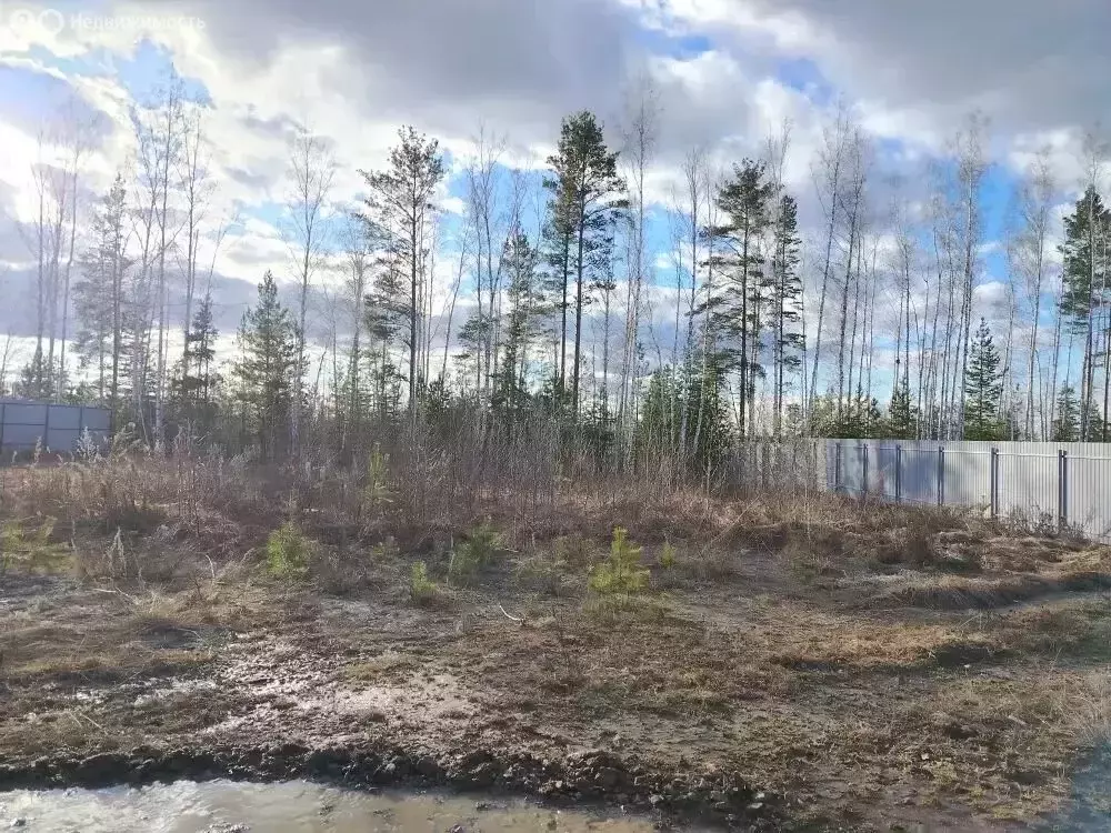 Участок в Екатеринбург, жилой район Центральный (8 м) - Фото 2
