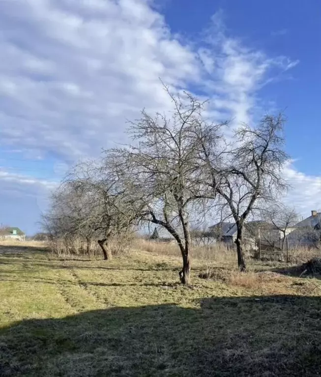 Участок 25 сот. (ИЖС) - Фото 1