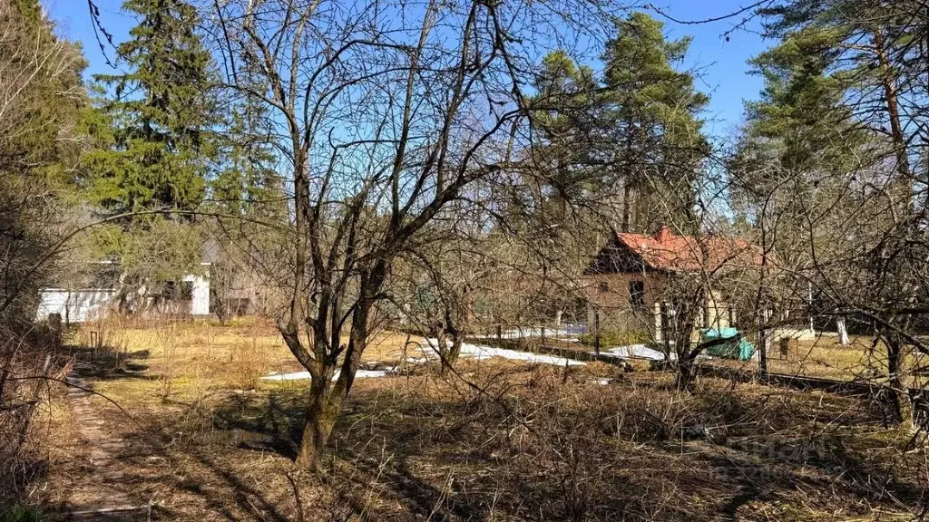 Участок в Московская область, Раменский муниципальный округ, Кратово ... - Фото 2