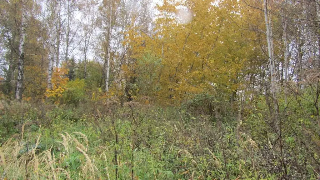 Участок в Московская область, Рузский муниципальный округ, д. Вишенки  ... - Фото 1