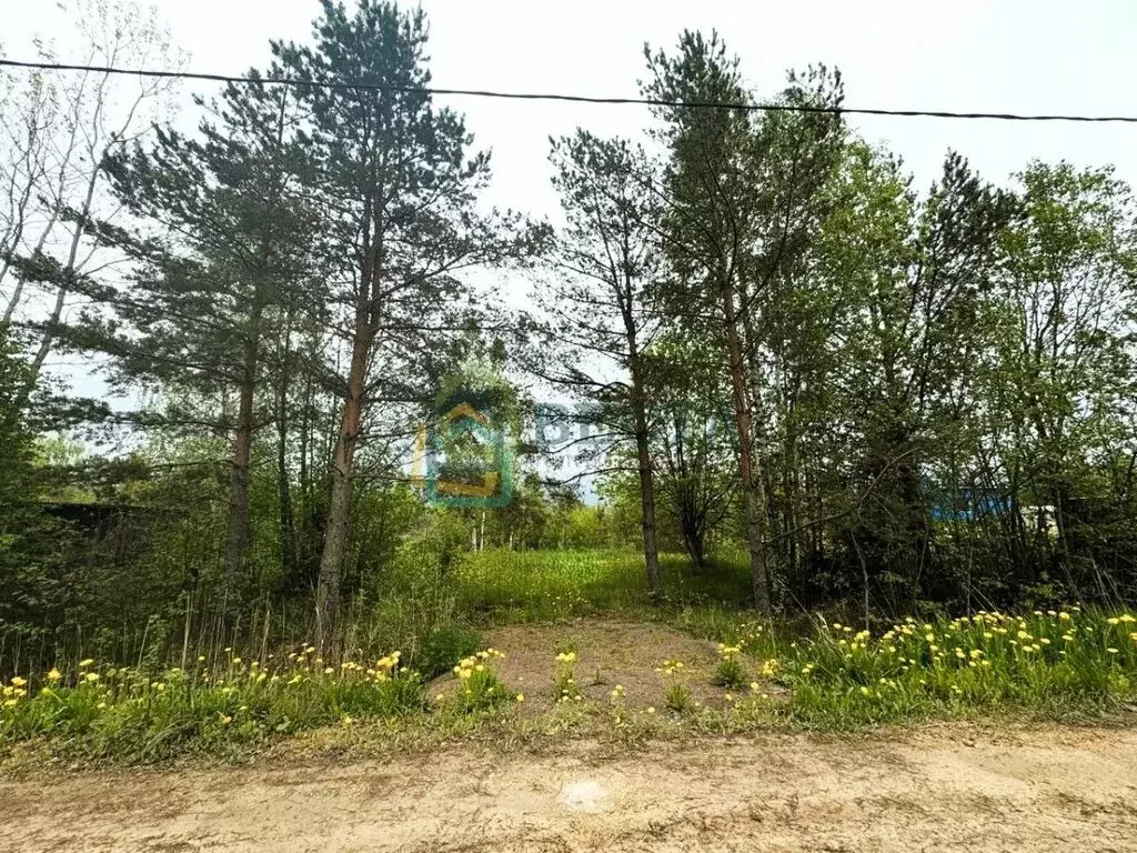 Участок в городской посёлок Ульяновка, садоводческое некоммерческое ... - Фото 0