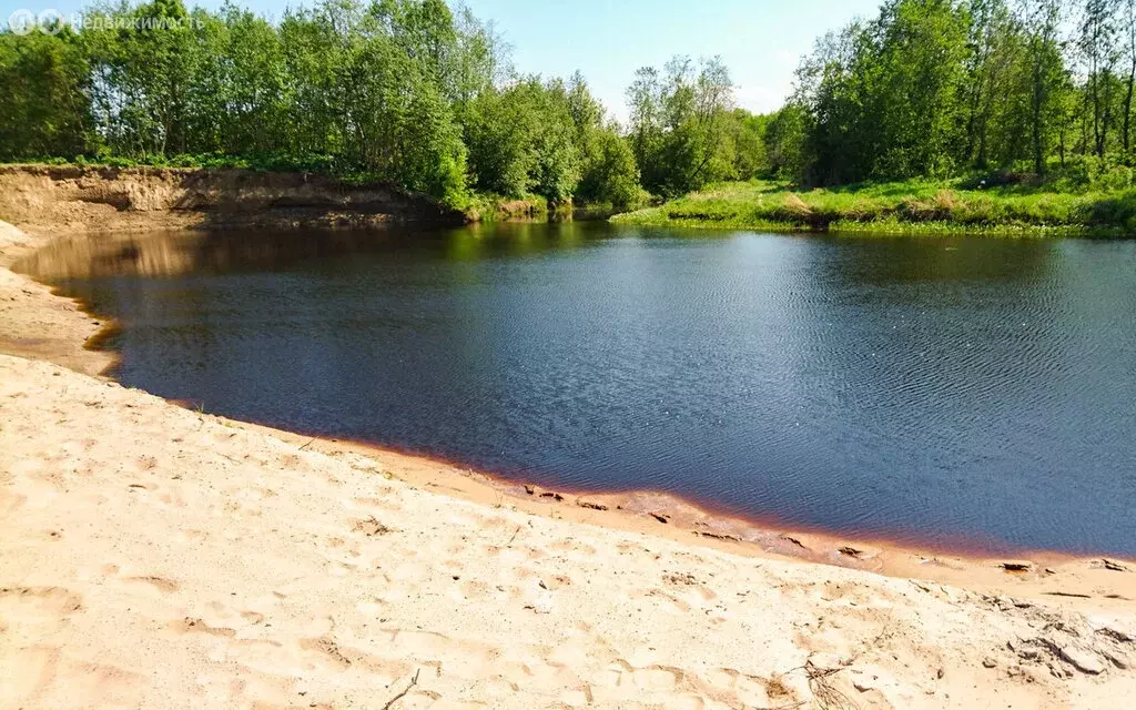 Участок в Суховское сельское поселение, деревня Низово (11 м) - Фото 1