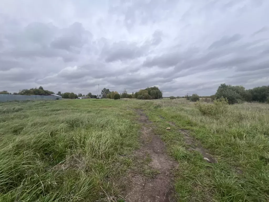 Участок в Владимирская область, Александровский муниципальный округ, ... - Фото 2
