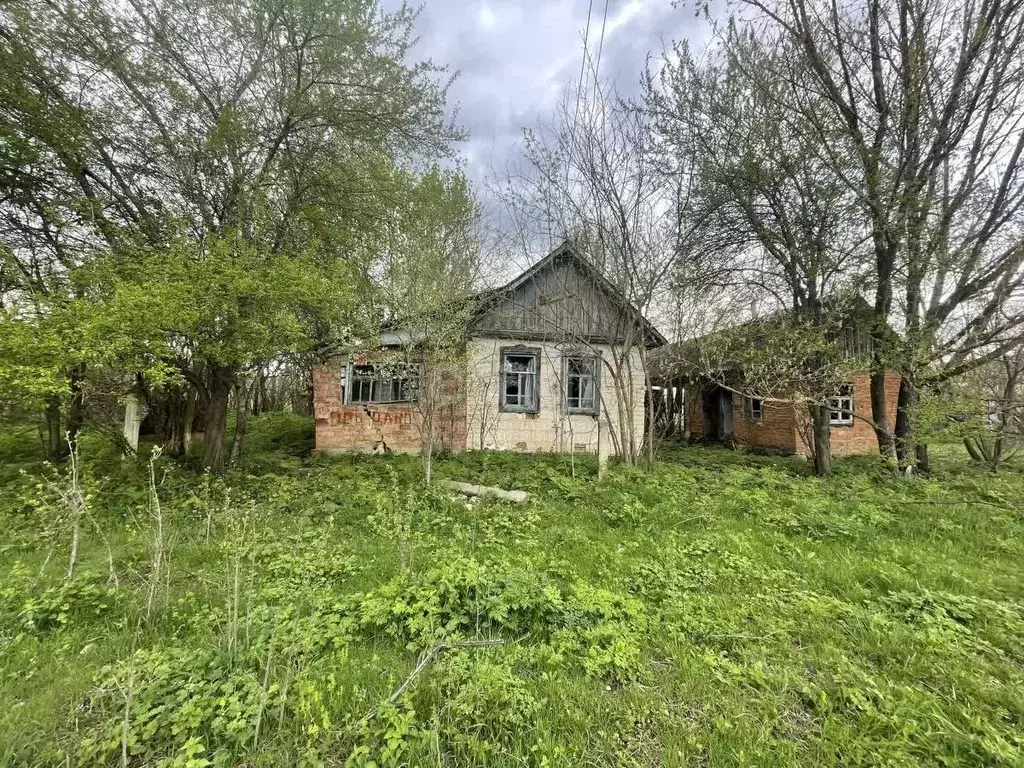 Участок в Адыгея, Майкопский район, Тимирязевское с/пос, Шунтук хут. ... - Фото 2