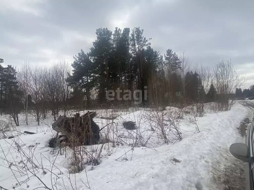 Участок в Томская область, Томский район, с. Курлек ул. Космонавтов ... - Фото 1