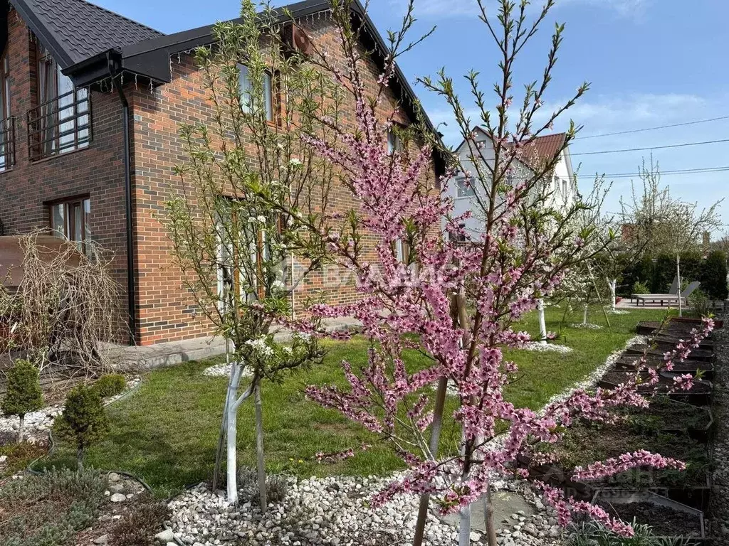 5-к кв. Калининградская область, Светлый ул. Лесная Аллея, 12 (113.0 ... - Фото 1