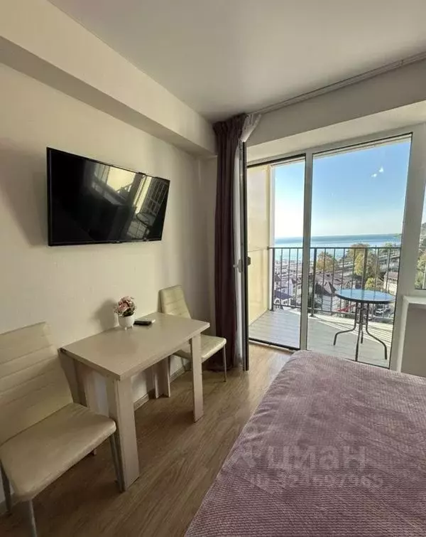 Студия Краснодарский край, Сочи городской округ, Дагомыс пгт ул. ... - Фото 1