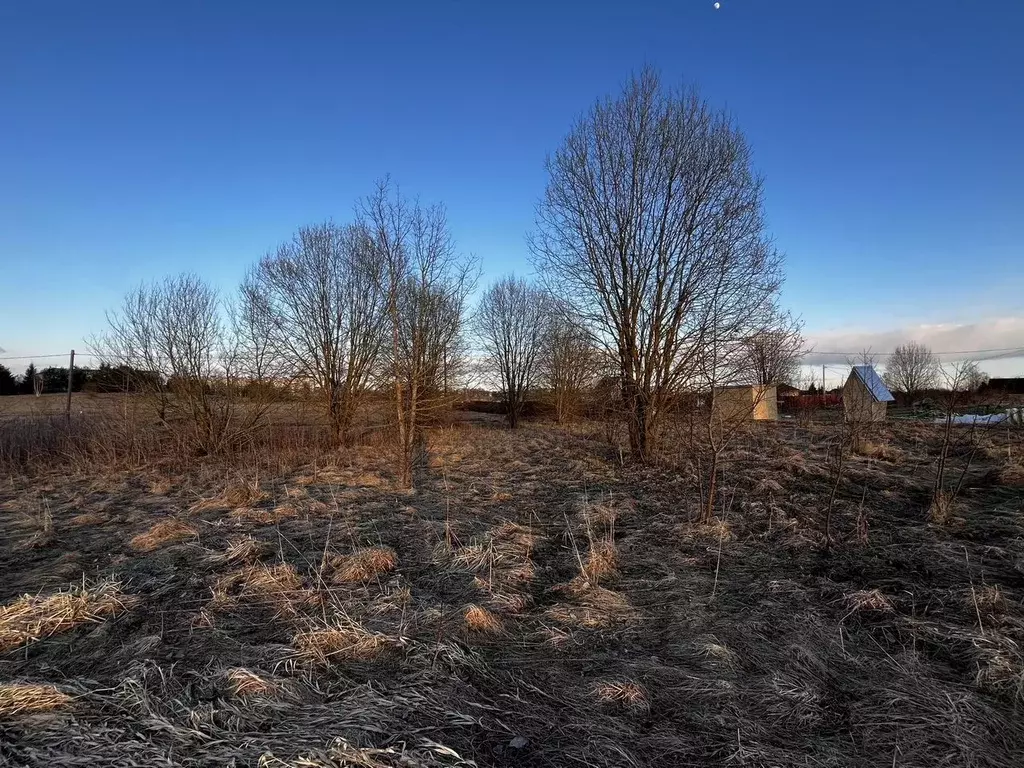 Участок в Ленинградская область, Волхов Шкурина Горка мкр, Г кв-л,  ... - Фото 1