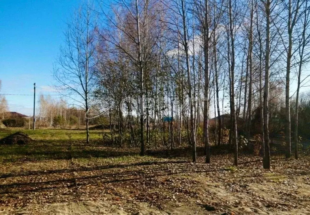 Участок в Тюменская область, Тюмень Ясень садовое товарищество,  (10.8 ... - Фото 1