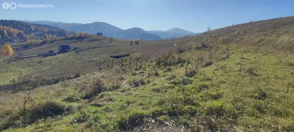 Участок в Майминский район, село Кызыл-Озек (10 м) - Фото 2