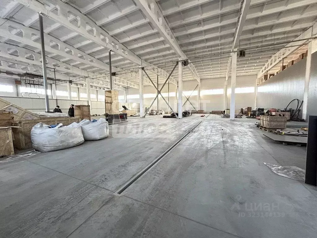 Склад в Алтайский край, Барнаул ул. Трактовая, 92 (648 м) - Фото 2