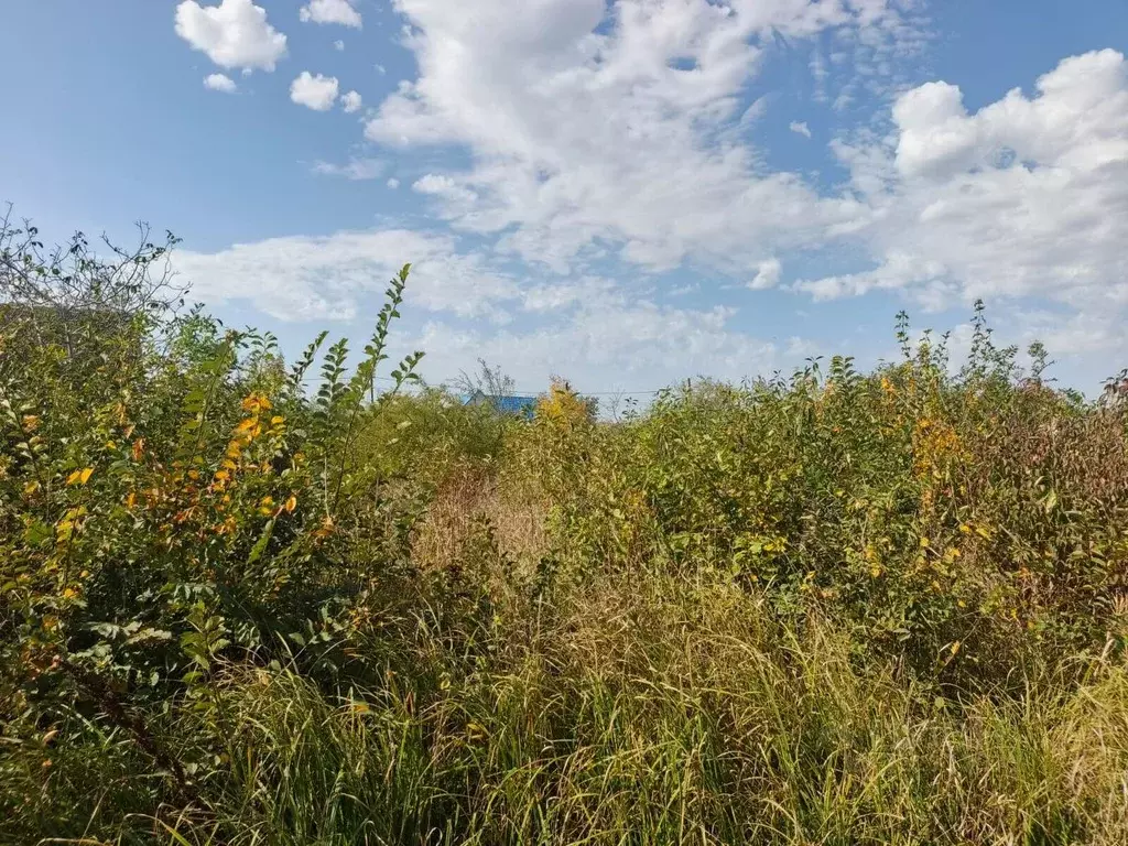 Участок в Краснодарский край, Северский район, Афипское городское ... - Фото 1
